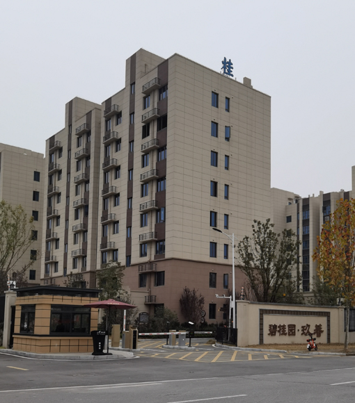 碧桂园 玖暮